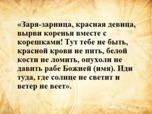 Сюжетът на ангина - правилата за изпълнение и примери