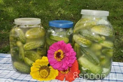 Подготовката за най-вкусните рецепти зима краставици!