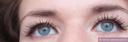Очна линия писалка за овладяване прецизно око (черен цвят) от Maybelline - ревюта, снимки и