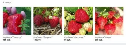 Доходи при отглеждането на ягоди - чета, мисля, да печелят! (Ягоди) Доходи при отглеждането на ягоди - чета, мисля, да печелят!