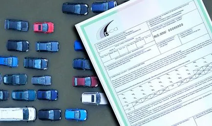 Зелена карта за колата - какво е това, защо е необходимо, къде да се купуват зелена карта с отстъпка