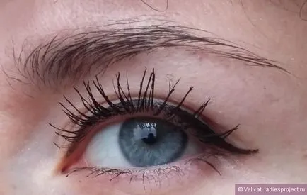 Очна линия писалка за овладяване прецизно око (черен цвят) от Maybelline - ревюта, снимки и