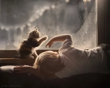 Животът е прекрасен - гледане на живота е красив, красив в живота на човека - fotokto