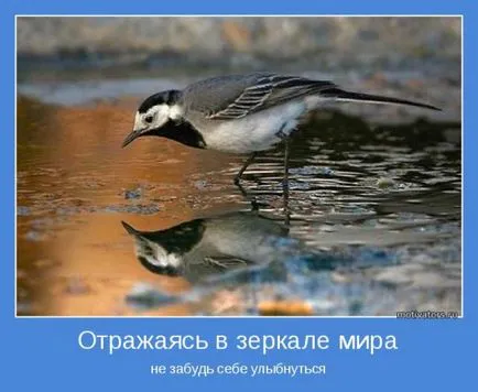 Огледало - как да се предпазите