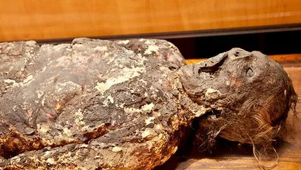Какво се случва с хората в ковчег Какво се случва с хората в ковчег
