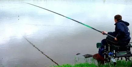 Кога и какво да хвана шаран