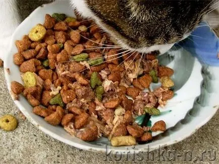 Какво яде котка Какво яде котка