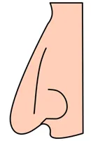Нос, че човек може да