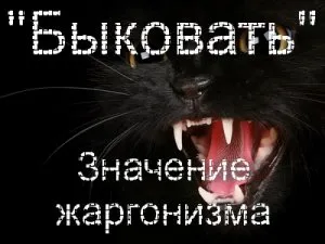 Както bykovat