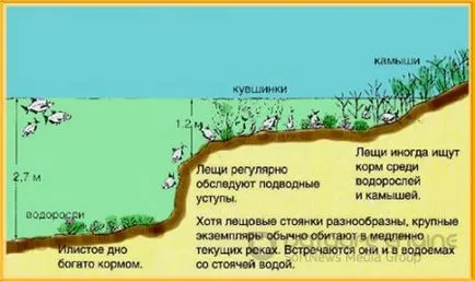 платика за улов платика за улов