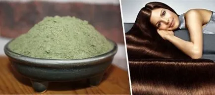 Iráni henna (48 fotó) természetes Henna haj, indiai, mi jobb vélemények