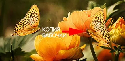 Egy bélyeg Photoshop, hasznos technikák feldolgozásra állóképek