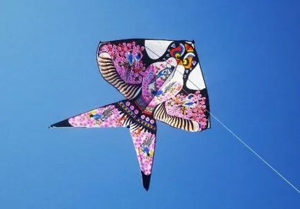 A történelem a kite, a történelem dolgok