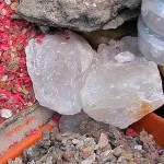 Изпепелени стипца какво е
