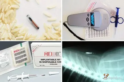 Microchip какво е
