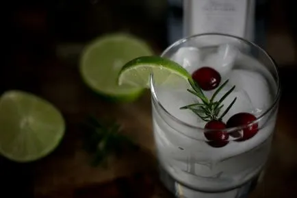 Gin напитка от пиене