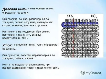 Какво е гнида Какво е гнида