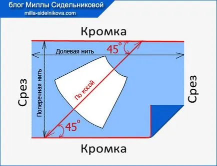 Какво е гнида Какво е гнида