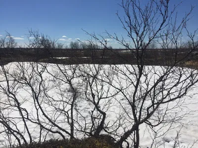 Как прекарвам юни