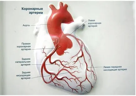 Хронична коронарна недостатъчност какво е