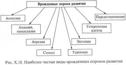 Какво е ендогенни фактори Какво е ендогенни фактори