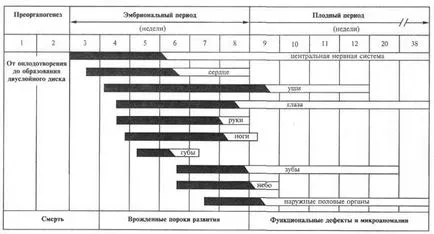 Какво е ендогенни фактори Какво е ендогенни фактори