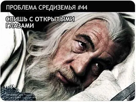 Каква трябва да бъде в есето