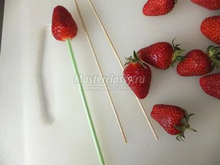 Плодове майсторски клас