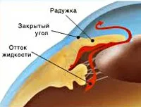 Than за лечение на глаукома Than за лечение на глаукома