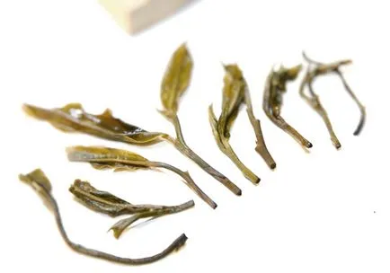Как да изберем Puer