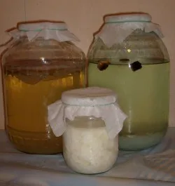 Морска гъба, която е