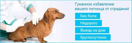 Евтаназия на кучето у дома Евтаназия на кучето у дома