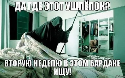 Снимки, на които повишават настроението