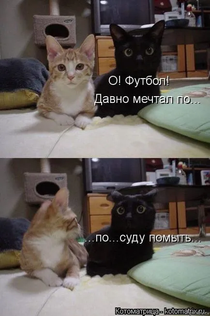 Снимки, на които повишават настроението