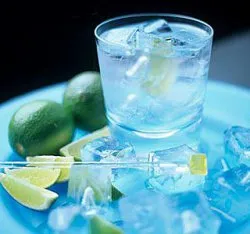 Gin напитка от пиене