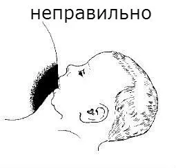 Както по време на хранене в продължение на