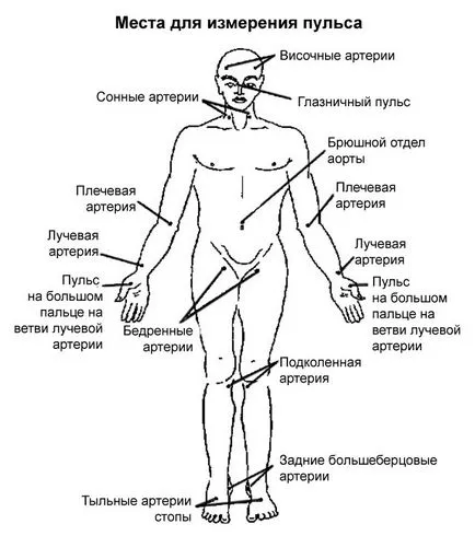 Как да се изчисли на сърдечната честота
