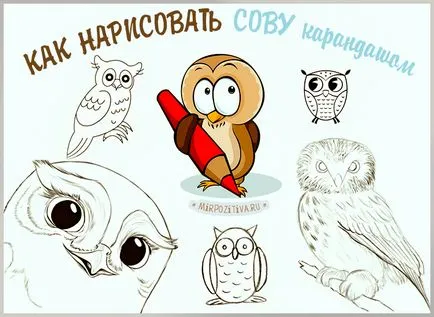 Като летящ бухал