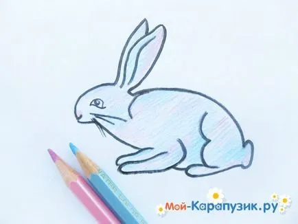 Как да се направи зайче молив