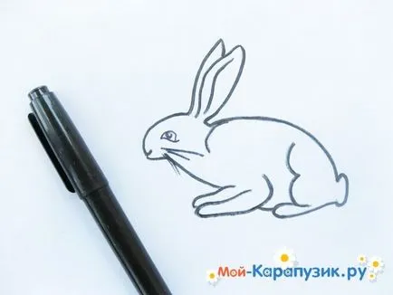 Как да се направи зайче молив