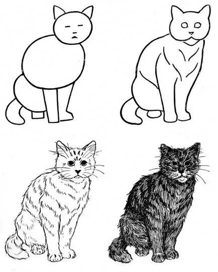Котка с модел котка Котка с модел котка