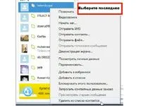 Как да се актуализира версията на Skype