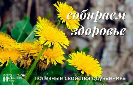 Подобно на коментари глухарчета