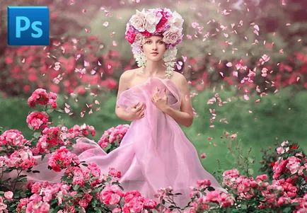 Как да се научите Photoshop
