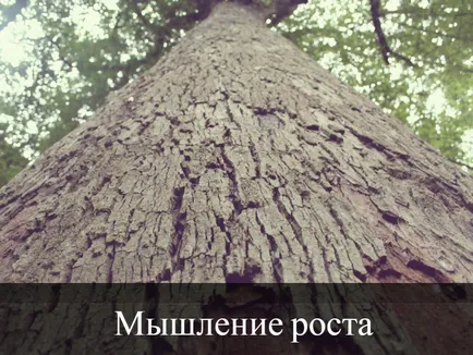 Независимо бъдат обучени