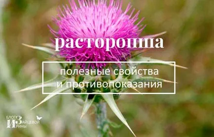 Колко полезна трън