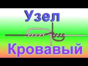 Как да завърже каишки за Donk