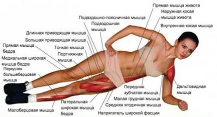 Как да се изгради страната на корема