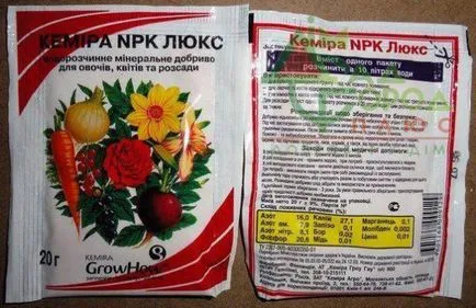 Как да растат силни разсад Как да растат силни разсад