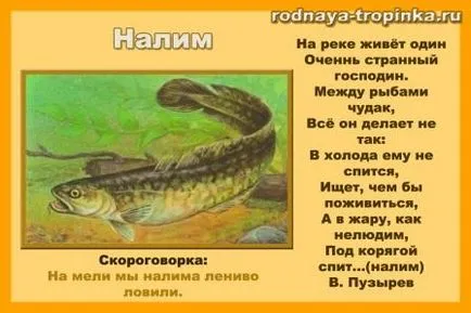 Какво риба